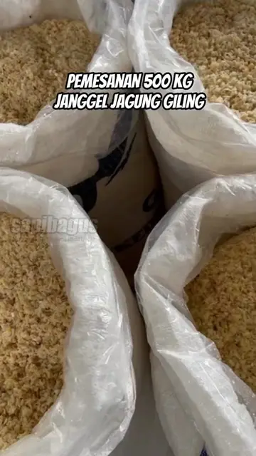 Pemesanan-500-Kg-Janggel-Jagung-Giling